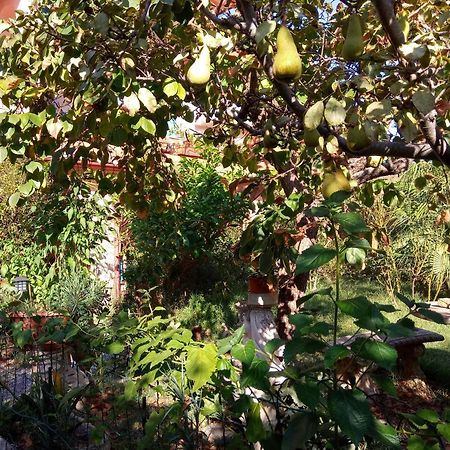Villa Corrias Siliqua Ngoại thất bức ảnh